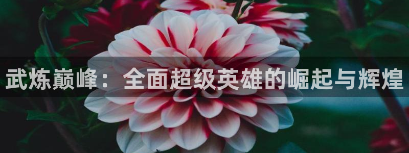 禁漫天堂在线免费阅读