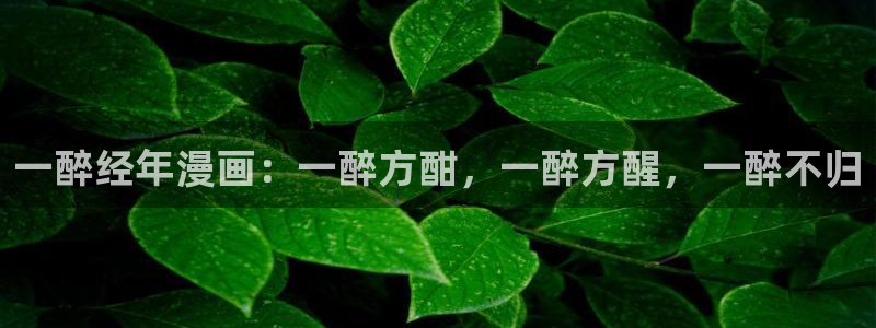 禁漫天堂回家的路