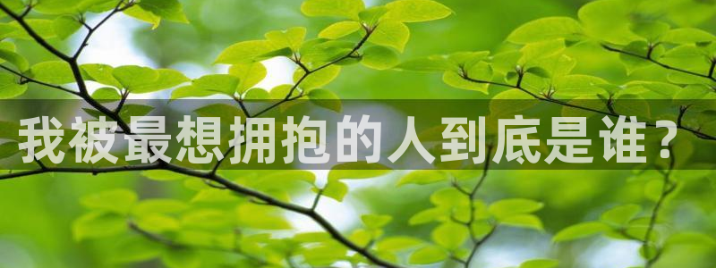 禁漫天堂免费网页版